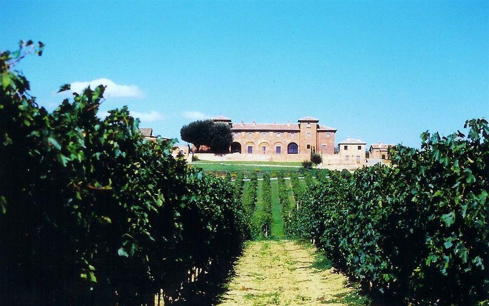 Agriturismo Terra Rossa Valiano Exterior photo